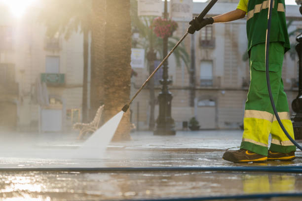Best Driveway Pressure Washing  in Dexter, GA